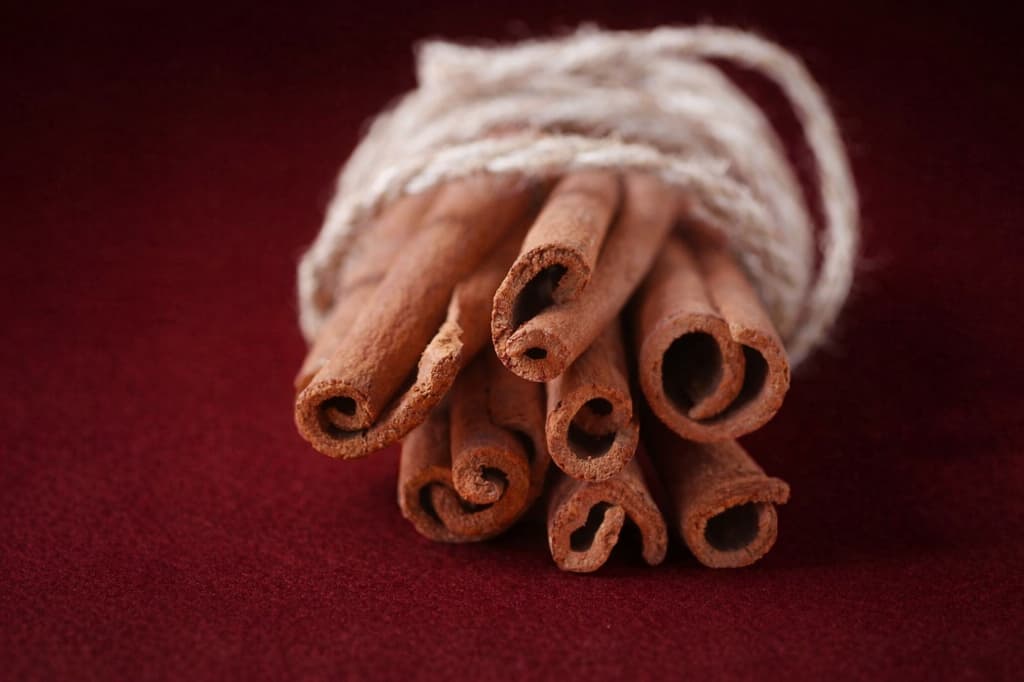 Authentic Ceylon cinnamon rolls on red background